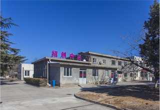 常州定制恐龙咨询报价