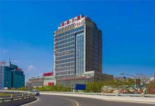 浙江白色灰树花产地货源